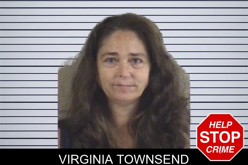 Virginia Townsend mugshot – Whitfield County , Georgia Virginia Townsend mugshot