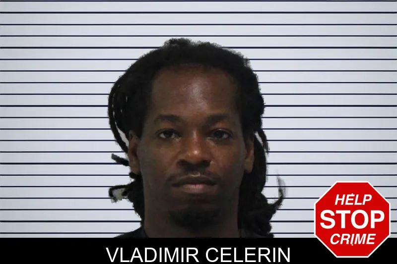 Vladimir Celerin mugshot