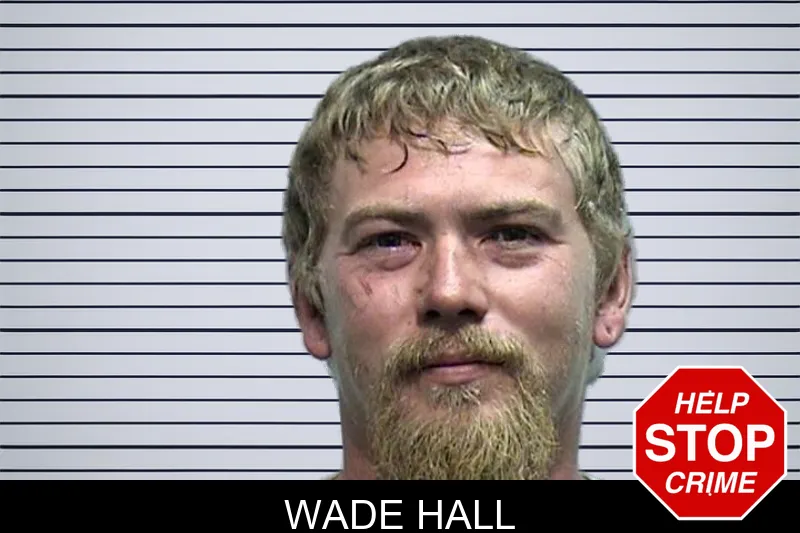 Wade Hall mugshot