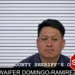 Waifer Domingo-Ramirez mugshot