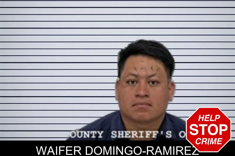 Waifer Domingo-Ramirez mugshot