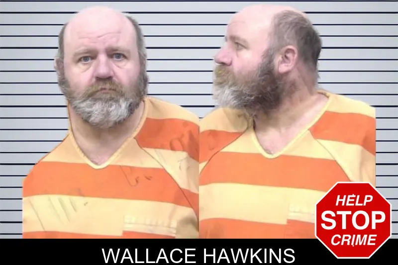 Wallace Hawkins mugshot – Paulding County , Georgia Wallace Hawkins mugshot