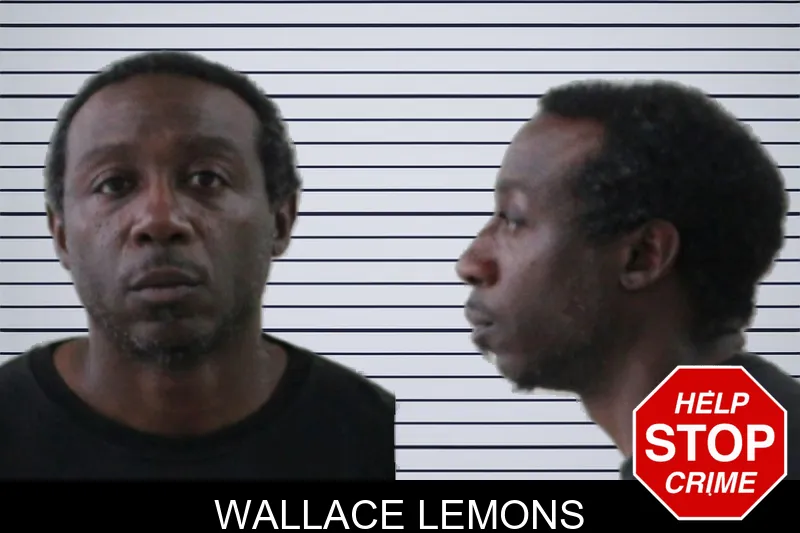 Wallace Lemons mugshot – Laurens County , Georgia Wallace Lemons mugshot
