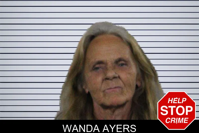 Wanda Ayers mugshot