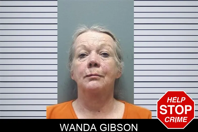 Wanda Gibson mugshot – Cherokee County , Georgia Wanda Gibson mugshot