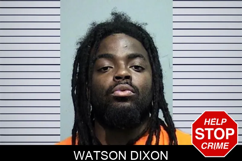 Watson Dixon mugshot – Effingham County , Georgia Watson Dixon mugshot