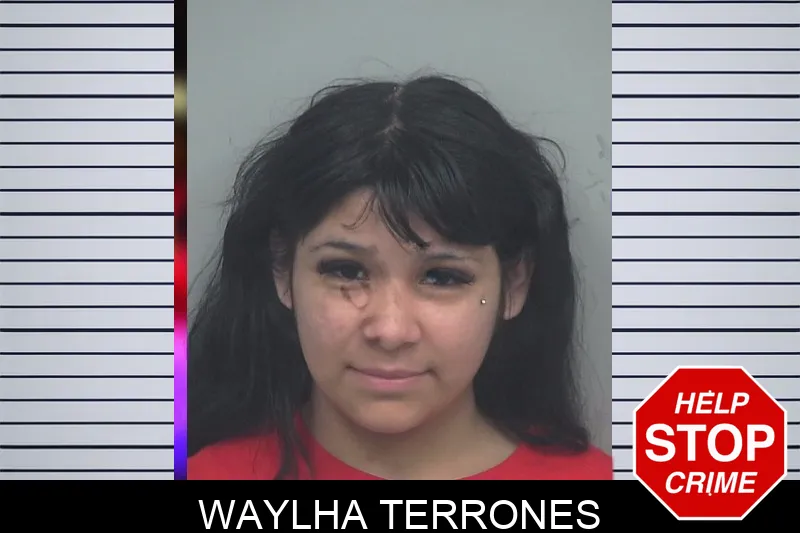 Waylha Terrones mugshot
