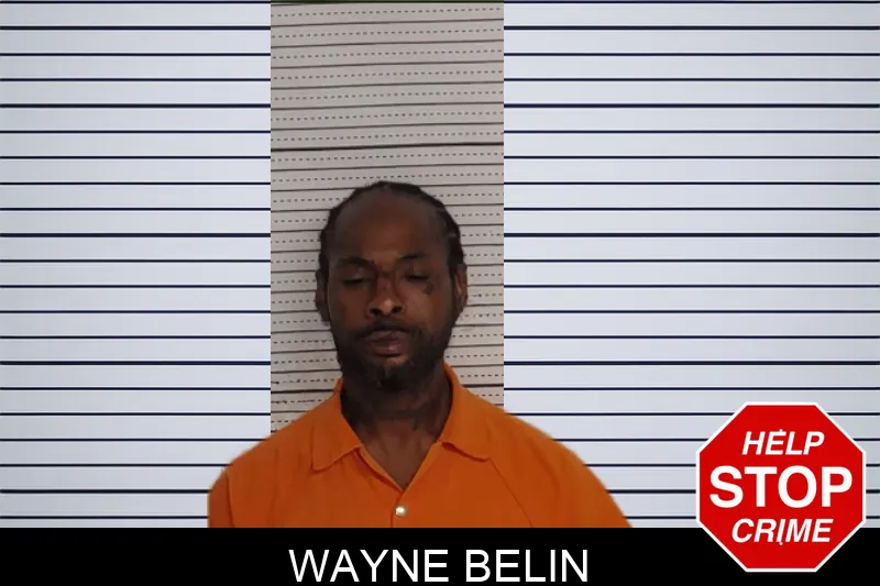 Wayne Belin mugshot