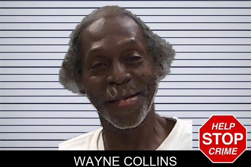 Wayne Collins mugshot