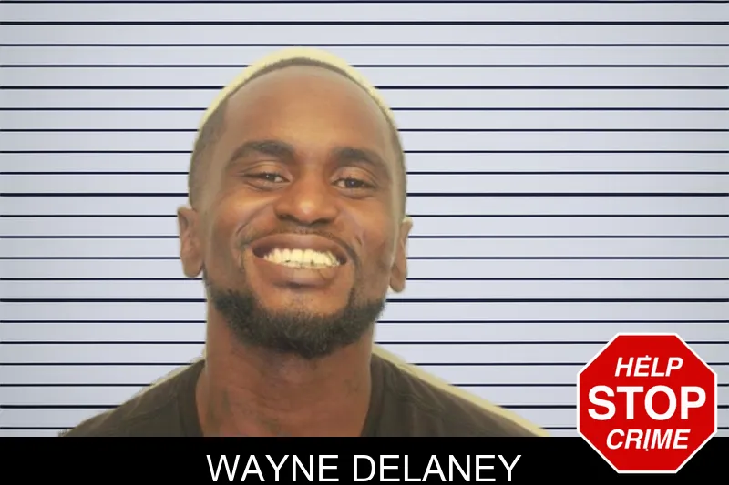Wayne Delaney mugshot – Chatham County , Georgia Wayne Delaney mugshot
