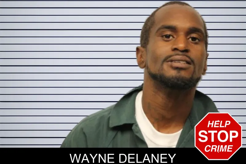 Wayne Delaney mugshot – Chatham County , Georgia Wayne Delaney mugshot