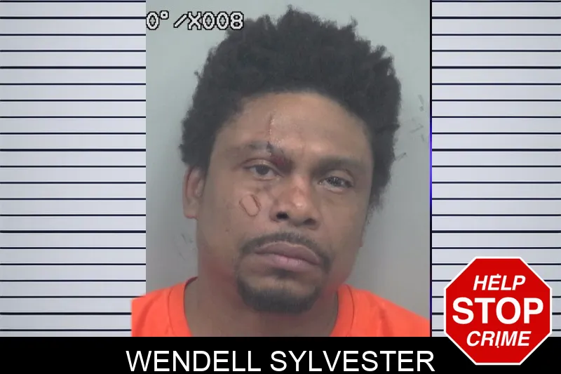 Wendell Sylvester mugshot – Gwinnett County , Georgia Wendell Sylvester mugshot