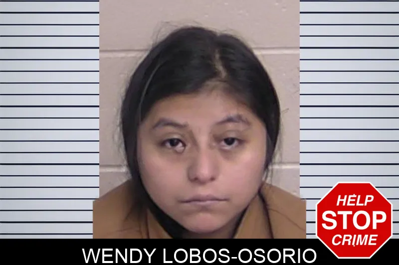 Wendy Lobos-Osorio mugshot