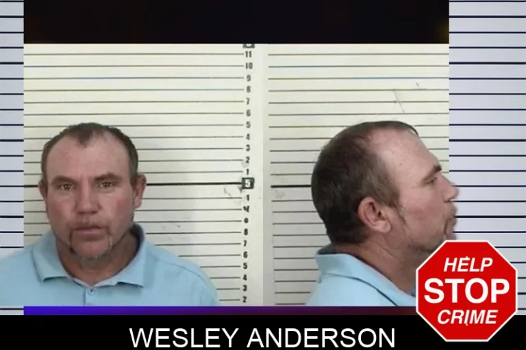 Wesley Anderson mugshot – Camden County , Georgia Wesley Anderson