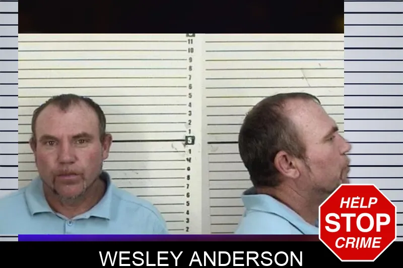 Wesley Anderson mugshot – Camden County , Georgia Wesley Anderson mugshot
