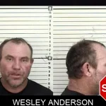 Wesley Anderson mugshot – Camden County , Georgia Wesley Anderson mugshot