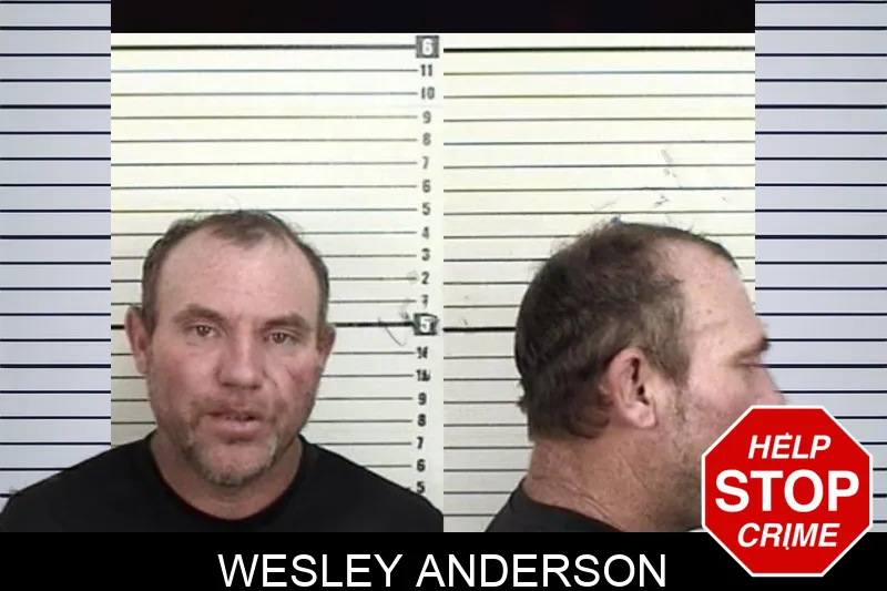 Wesley Anderson mugshot – Camden County , Georgia Wesley Anderson mugshot