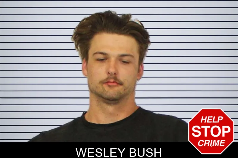 Wesley Bush mugshot