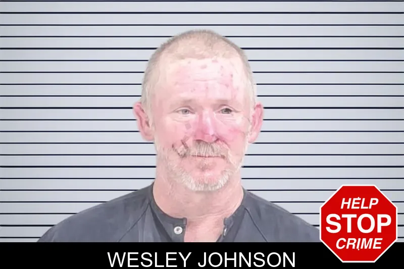 Wesley Johnson mugshot