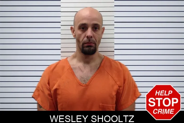 Wesley Shooltz mugshot – Pickens County , Georgia Wesley Shooltz