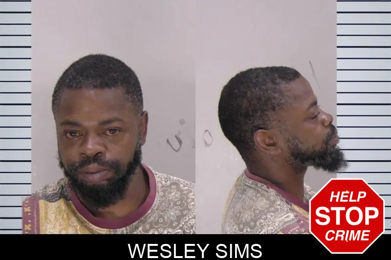 Wesley Sims mugshot