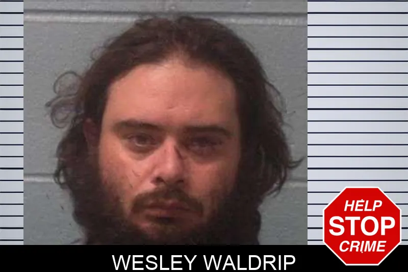 Wesley Waldrip mugshot – Franklin County , Georgia Wesley Waldrip mugshot