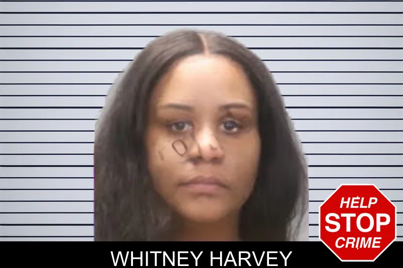 Whitney Harvey mugshot
