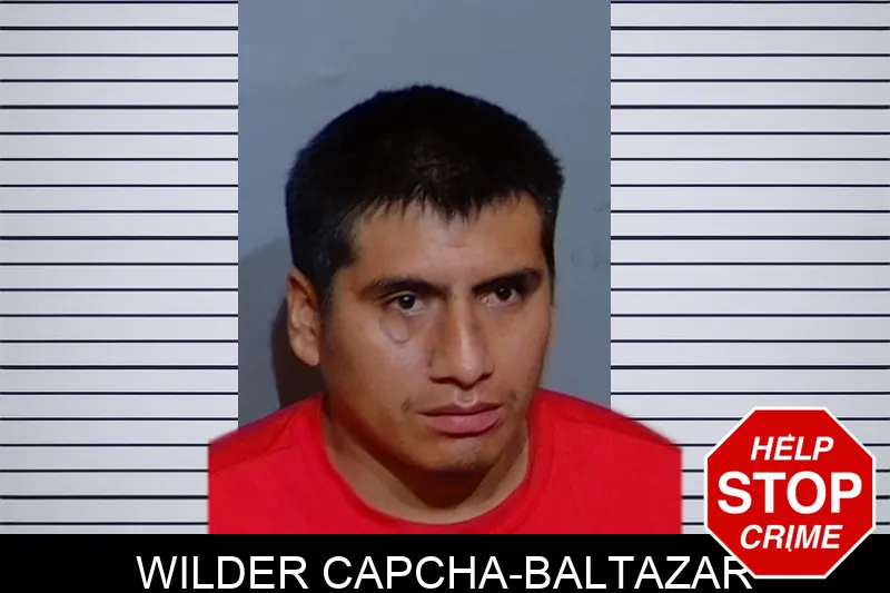 Wilder Capcha-Baltazar mugshot – Glynn County , Georgia Wilder Capcha-Baltazar mugshot