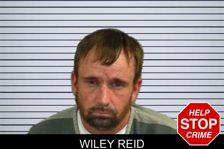 Wiley Reid