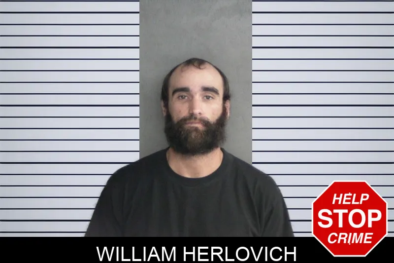 William Herlovich mugshot – Twiggs County , Georgia William Herlovich mugshot