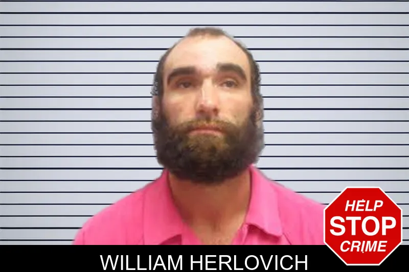 William Herlovich mugshot