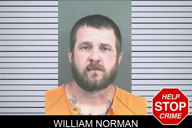 William Norman