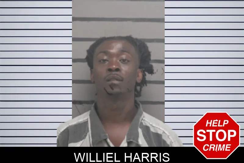 Williel Harris mugshot – Dougherty County , Georgia Williel Harris mugshot