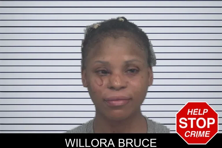 Willora Bruce mugshot – Gwinnett County , Georgia Willora Bruce