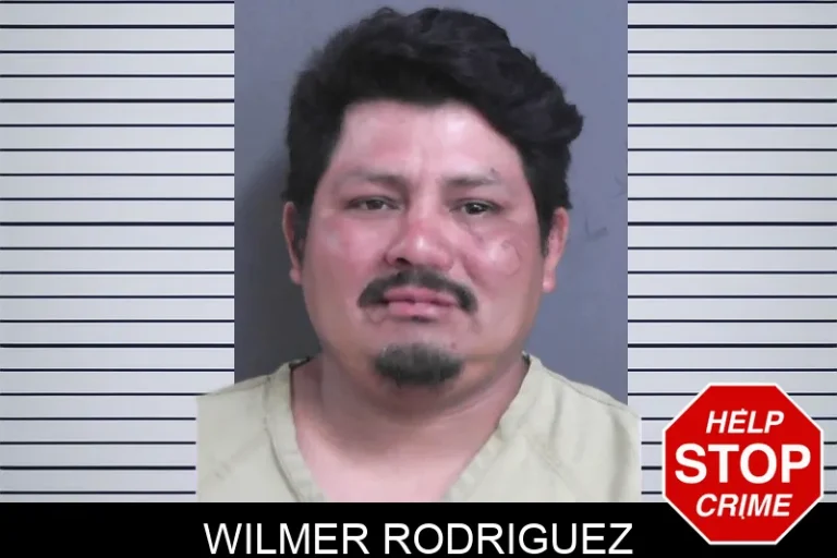 Wilmer Rodriguez