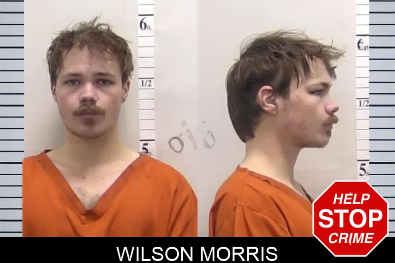 Wilson Morris mugshot – Clarke County , Georgia Wilson Morris mugshot