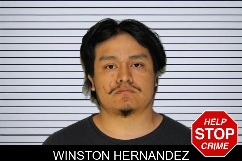 Winston Hernandez mugshot