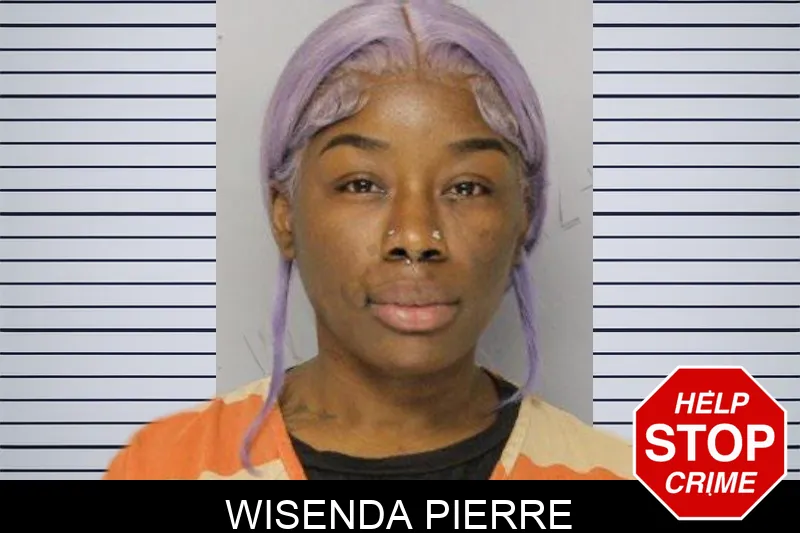 Wisenda Pierre mugshot – Hall County , Georgia Wisenda Pierre mugshot
