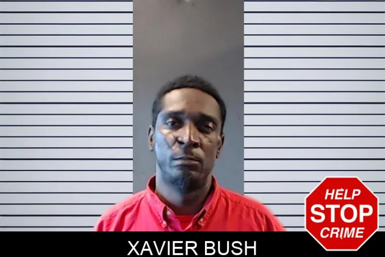 Xavier Bush