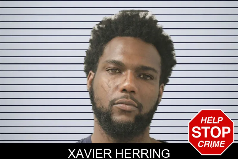 Xavier Herring mugshot – Montgomery County , Georgia Xavier Herring mugshot