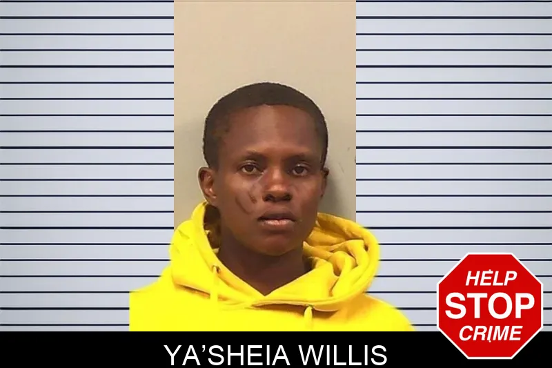 Ya’Sheia Willis mugshot