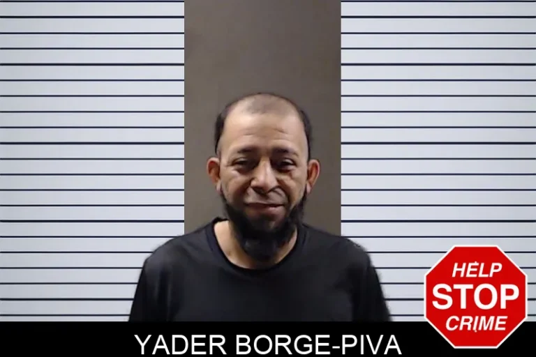 Yader Borge-Piva mugshot – DeKalb County , Georgia Yader Borge-Piva