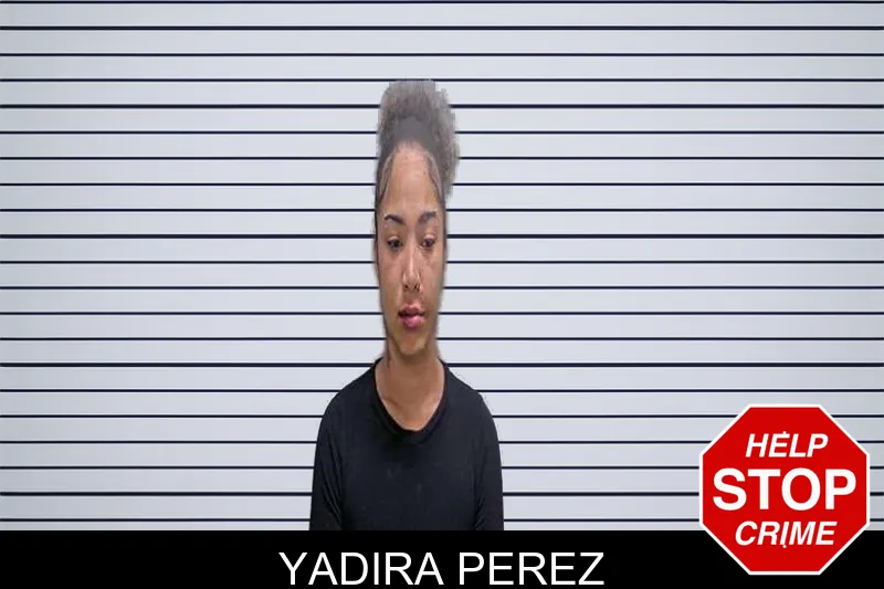 Yadira Perez mugshot