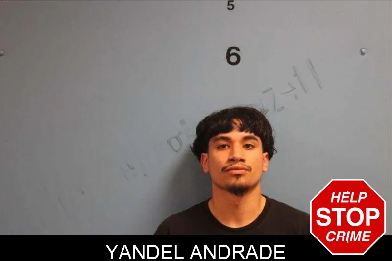 Yandel Andrade mugshot