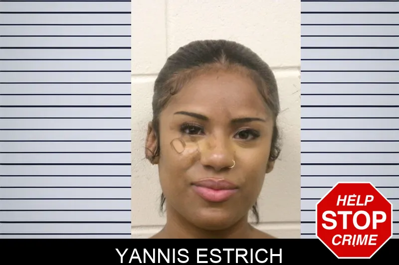 Yannis Estrich mugshot