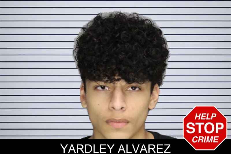 Yardley Alvarez mugshot – Cobb County , Georgia Yardley Alvarez mugshot