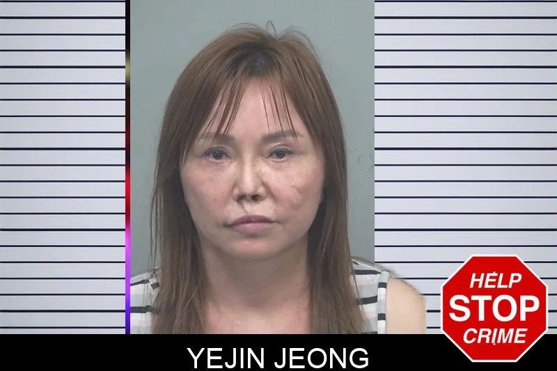 Yejin Jeong mugshot – Gwinnett County , Georgia Yejin Jeong mugshot