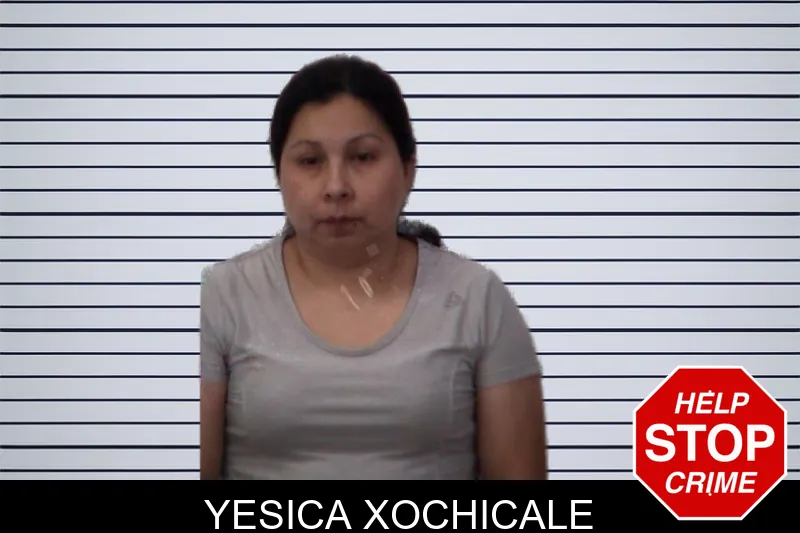 Yesica Xochicale mugshot – Emanuel County , Georgia Yesica Xochicale mugshot