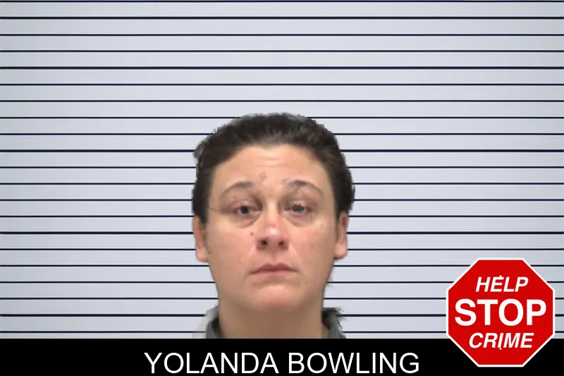 Yolanda Bowling mugshot
