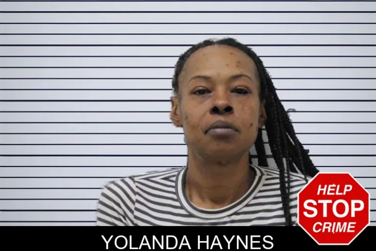 Yolanda Haynes